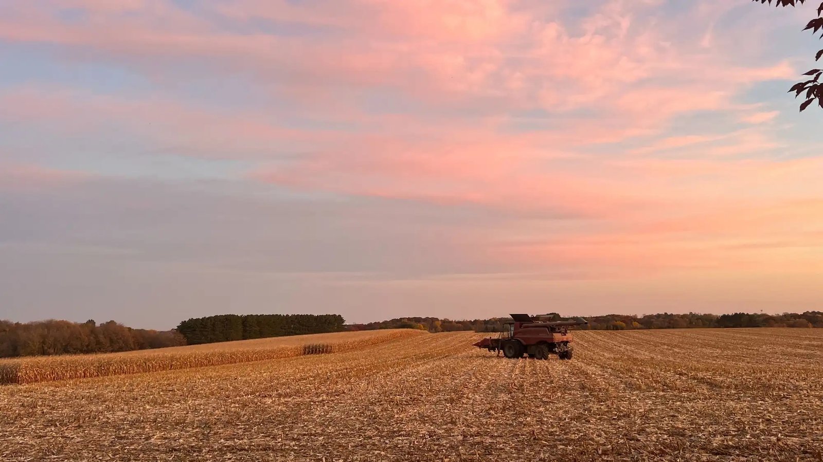 agriculture land